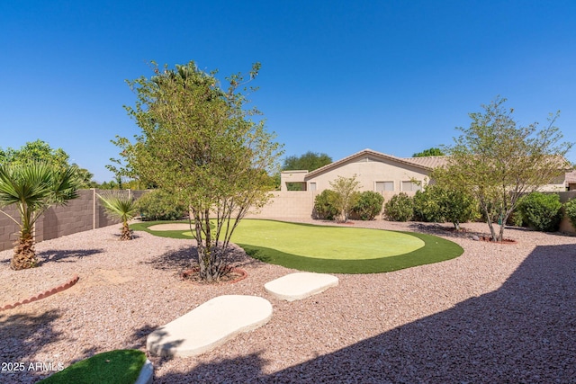 view of yard with a fenced backyard