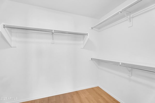 30215 N Joshua Tree Dr, Florence, AZ 85132 - walk in closet with light wood-style floors