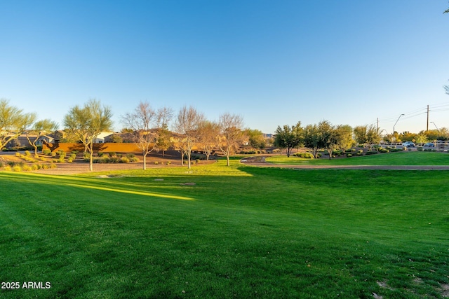 surrounding community featuring a yard