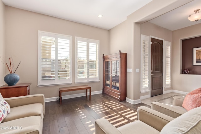 living room with dark hardwood / wood-style flooring