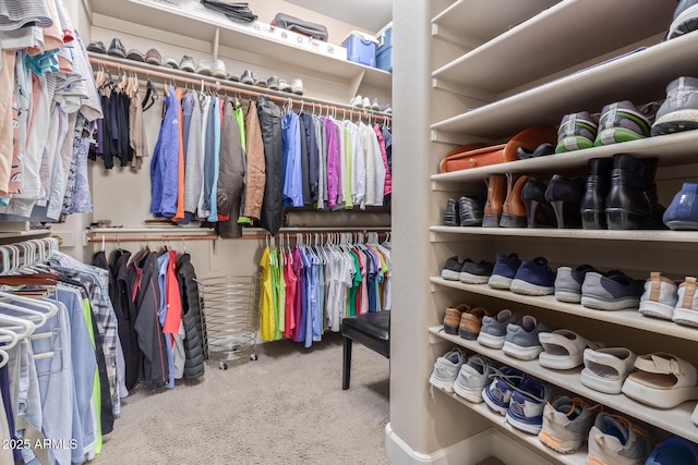 walk in closet featuring carpet flooring