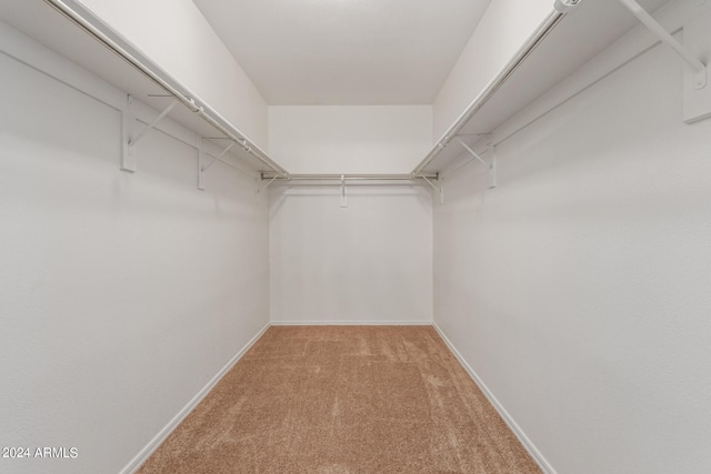 spacious closet featuring carpet floors