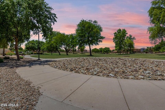 view of community featuring a lawn