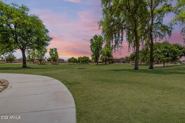 view of home's community with a yard