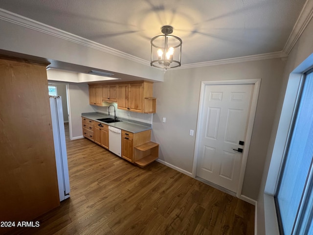 kitchen featuring wood-type flooring, white dishwasher, a notable chandelier, and sink