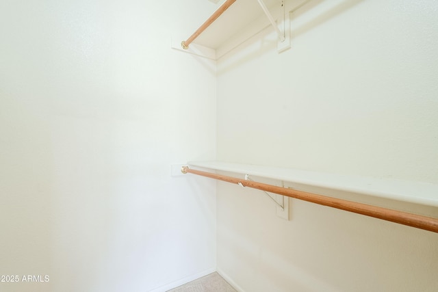 spacious closet with carpet flooring