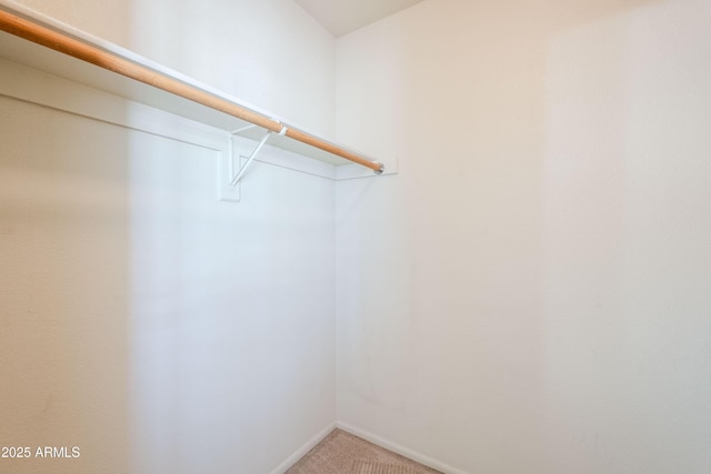 walk in closet with carpet floors