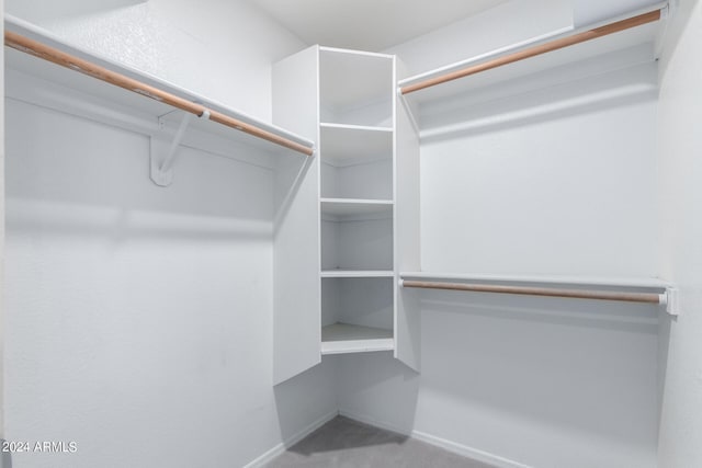 spacious closet with carpet floors