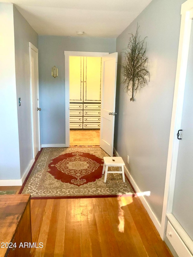 hall featuring wood-type flooring