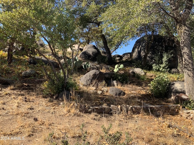 view of local wilderness