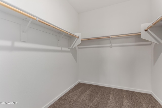 spacious closet with carpet flooring