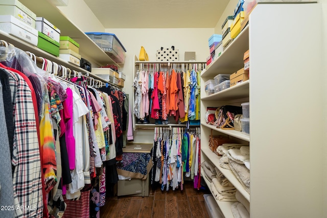 spacious closet with dark hardwood / wood-style flooring