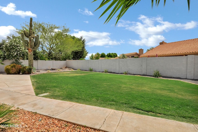 8913 S Forest Ave, Tempe, AZ 85284 - view of yard