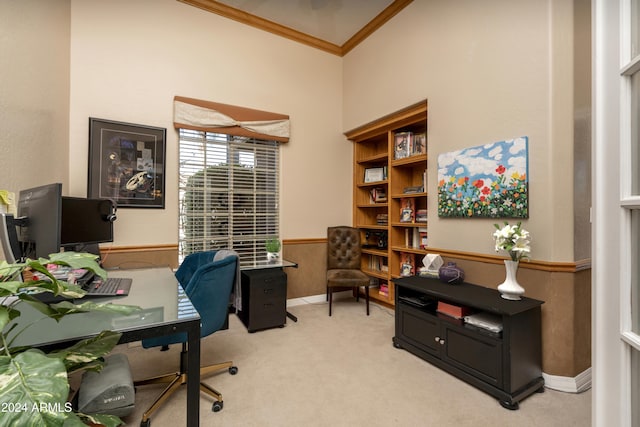 office featuring carpet floors and crown molding