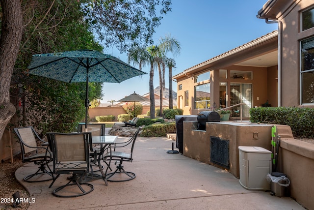 view of patio / terrace with area for grilling and grilling area