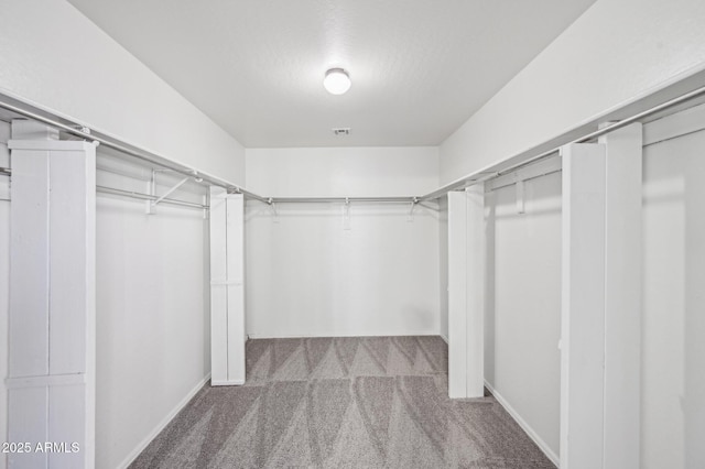 walk in closet featuring carpet flooring