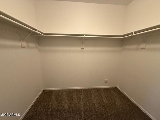 walk in closet featuring carpet