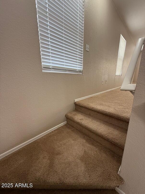 staircase with carpet