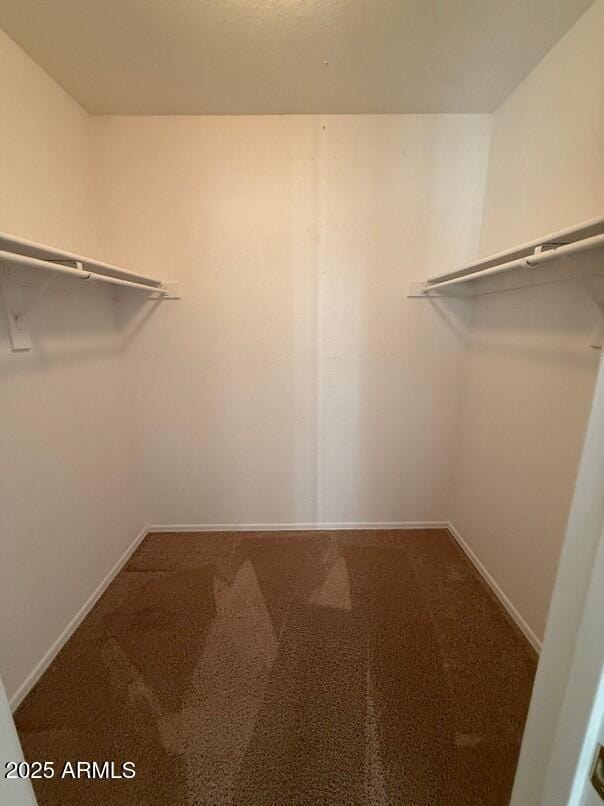 walk in closet featuring carpet