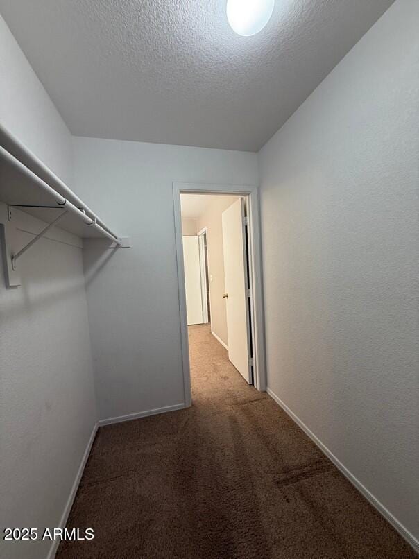 spacious closet featuring carpet