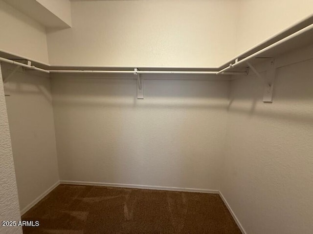 spacious closet featuring carpet floors