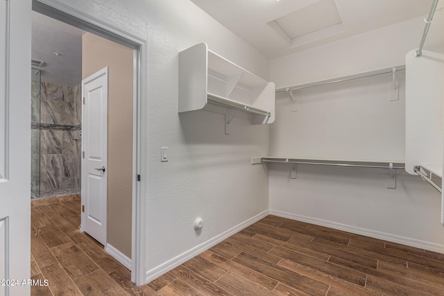 walk in closet featuring dark hardwood / wood-style floors