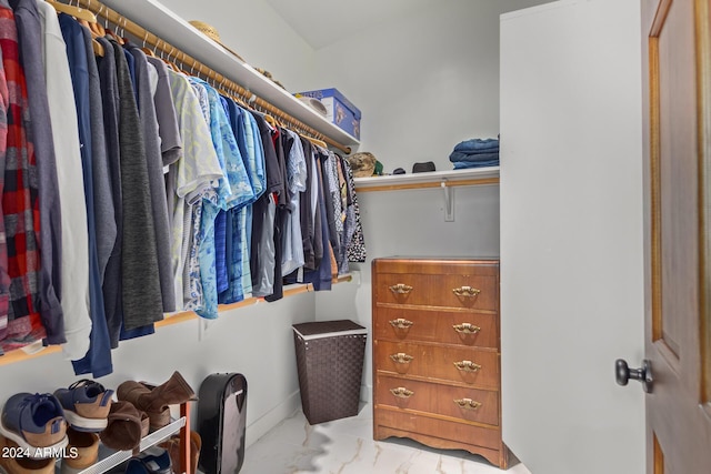 view of spacious closet