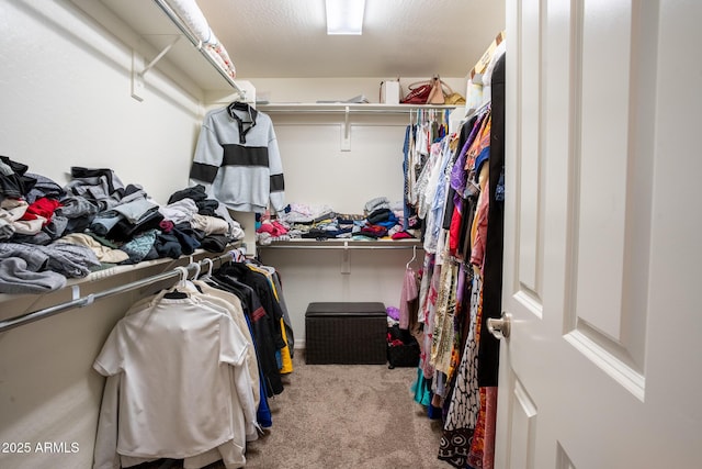 16425 W Latham St, Goodyear, AZ 85338 - walk in closet with carpet