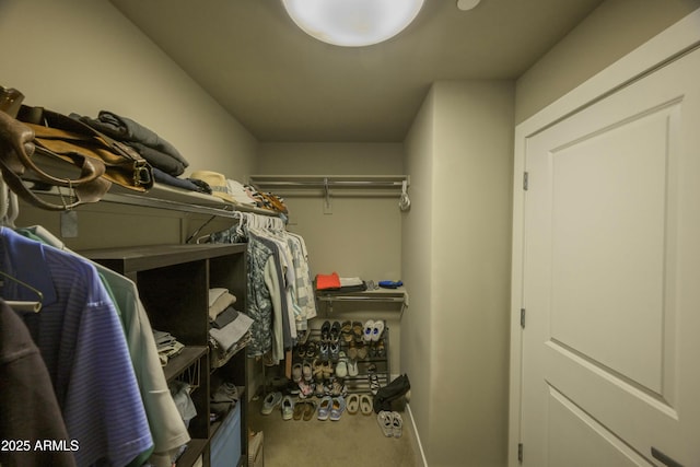 walk in closet with carpet flooring