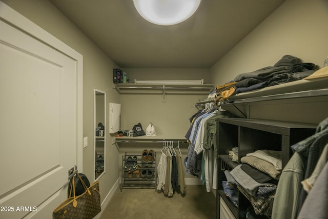 walk in closet featuring carpet flooring