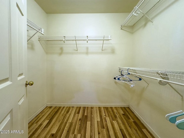 walk in closet featuring wood-type flooring