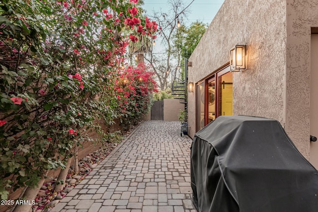 view of patio / terrace with a grill