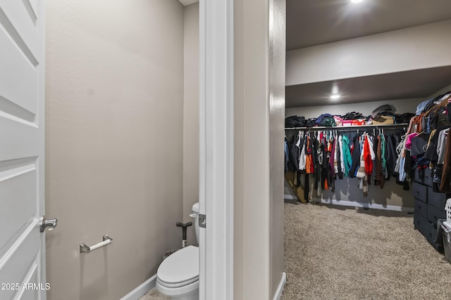 walk in closet featuring carpet