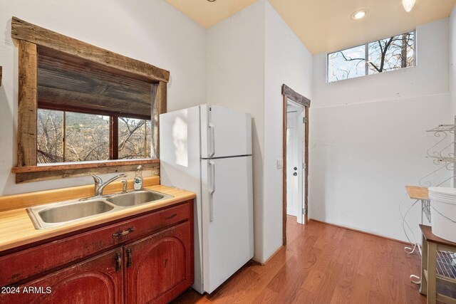 kitchen featuring a wealth of natural light, sink, white fridge, and light wood-type flooring