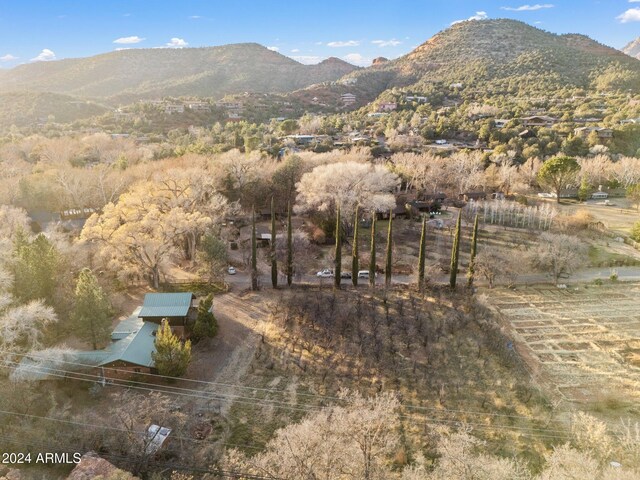 mountain view featuring a rural view