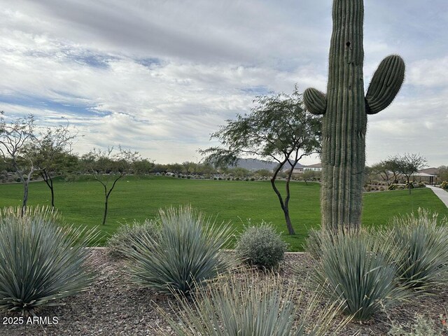 26406 N 77th Dr, Peoria, AZ 85383 - surrounding community with a lawn