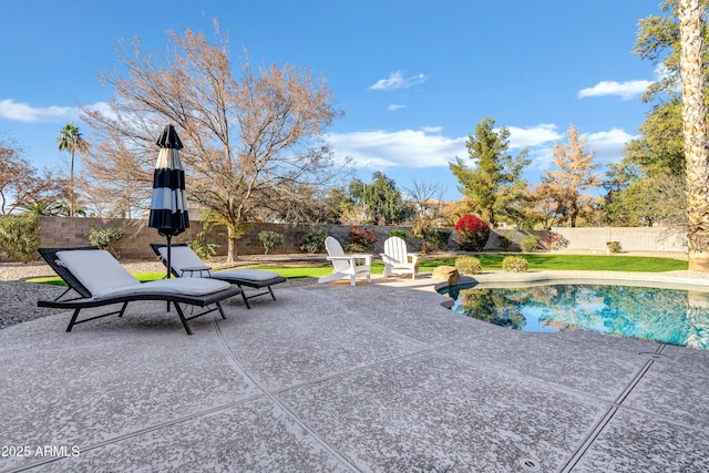 view of swimming pool with a patio area