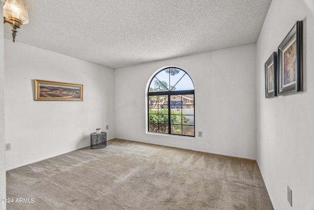 empty room featuring light carpet and a textured ceiling