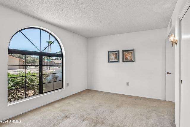 unfurnished room with light colored carpet and a textured ceiling