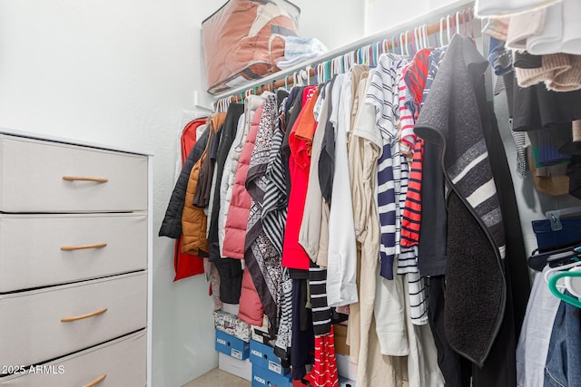 view of spacious closet