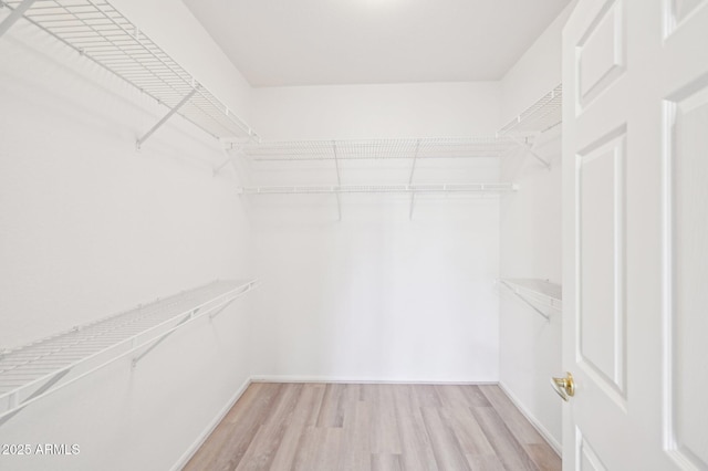 walk in closet with light wood-style flooring