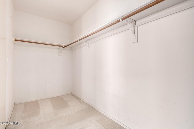 1403 W Goldfinch Way, Chandler, AZ 85286 - spacious closet with light colored carpet