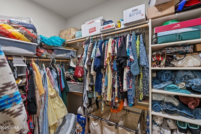 view of spacious closet