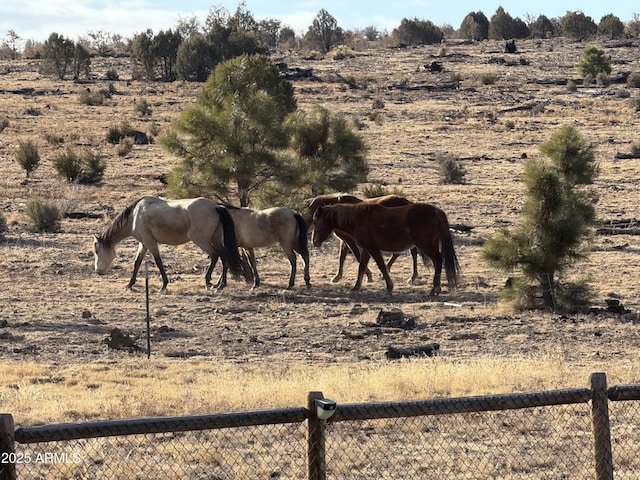 view of horse barn with a rural view