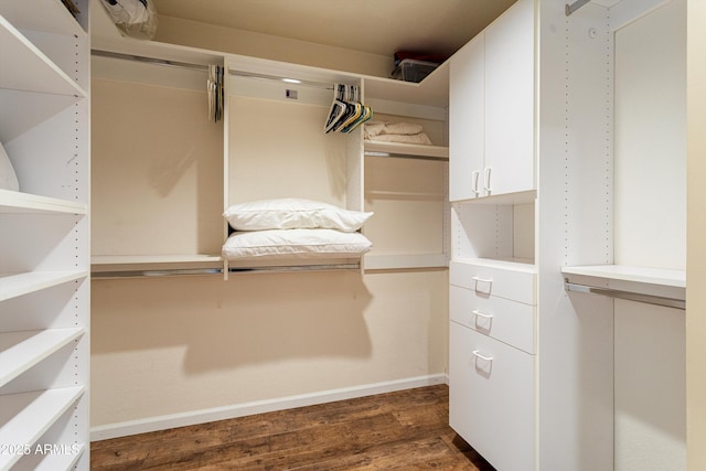 3797 N 156th Dr N, Goodyear, AZ 85395 - walk in closet featuring dark wood-style floors
