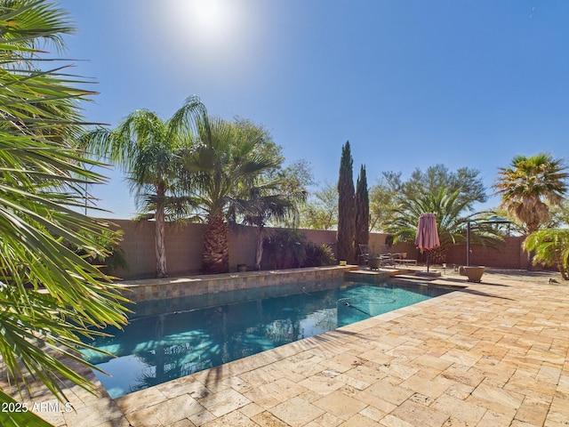 view of pool with a patio area, a fenced in pool, and a fenced backyard