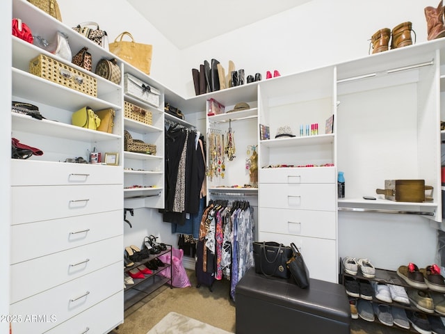 spacious closet with carpet