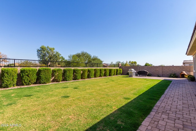 view of yard with a patio