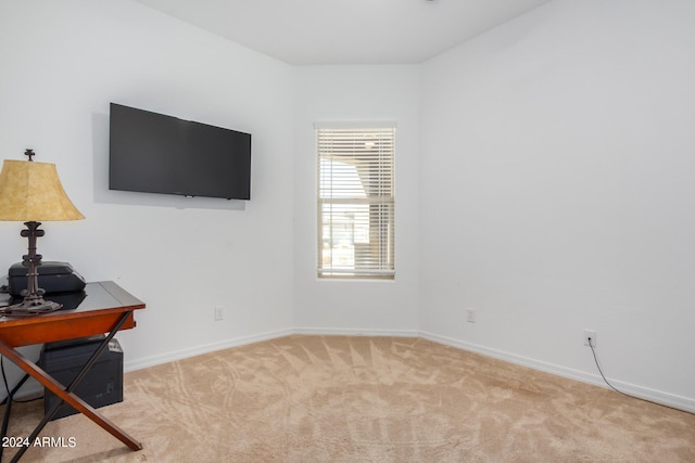 interior space featuring light carpet