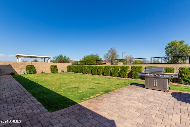 view of yard with a patio